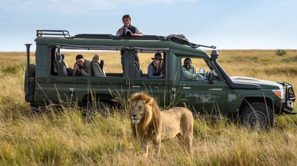 masai mara 3